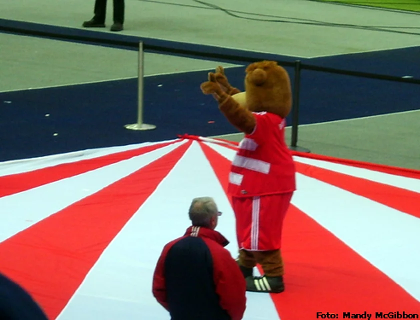 DFB Pokalfinale Berlin — Foto