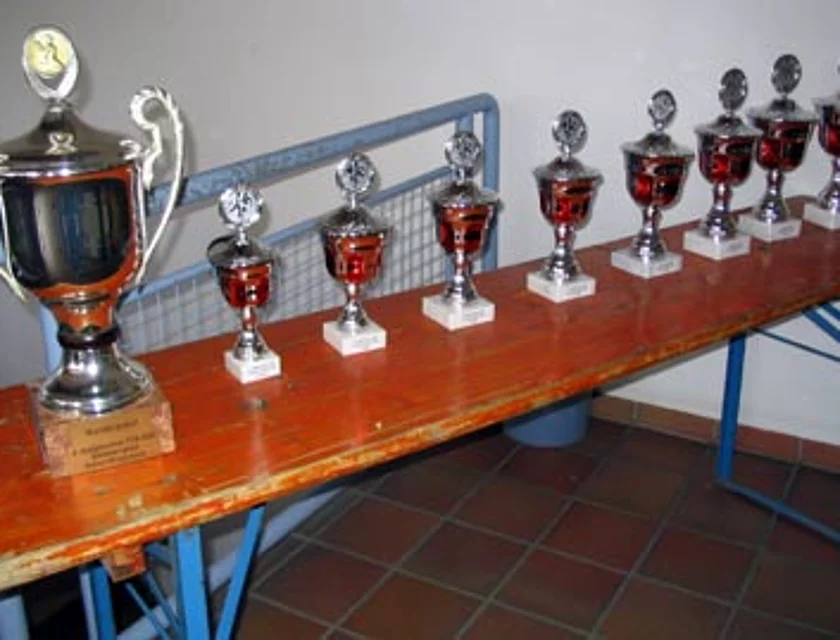 Hallenturnier — Foto
