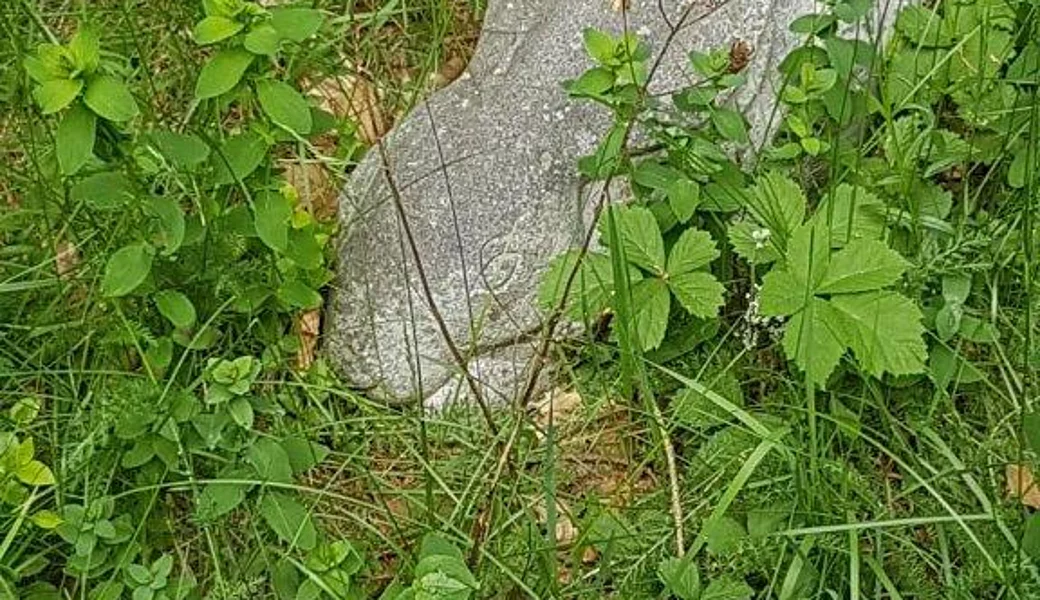 Vorschau: Vatertag