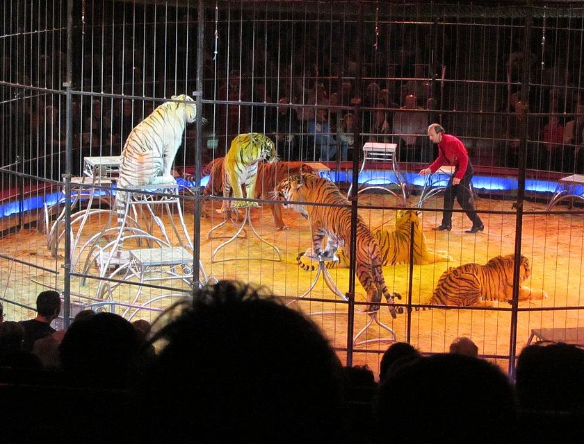 FCB Zirkus Krone — Foto