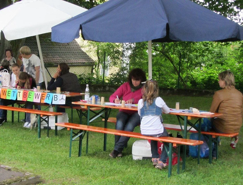 Wiedererhebung Stadt Vohenstrauss — Foto