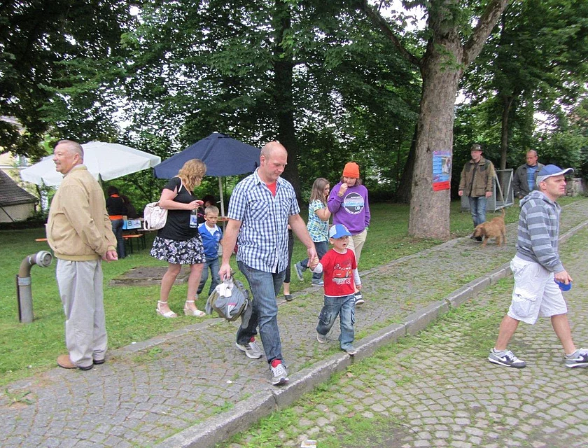 Wiedererhebung Stadt Vohenstrauss — Foto