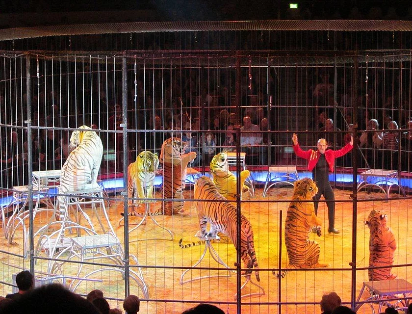 FCB Zirkus Krone — Foto