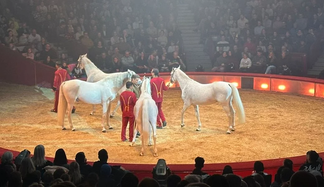 Vorschau: Fanclub Ausflug Circus Krone