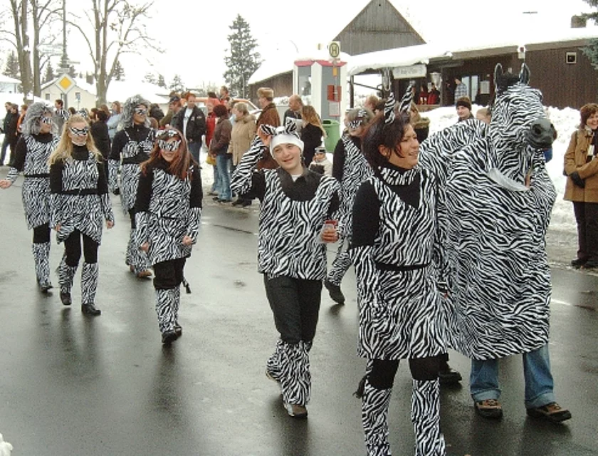 Fasching — Foto