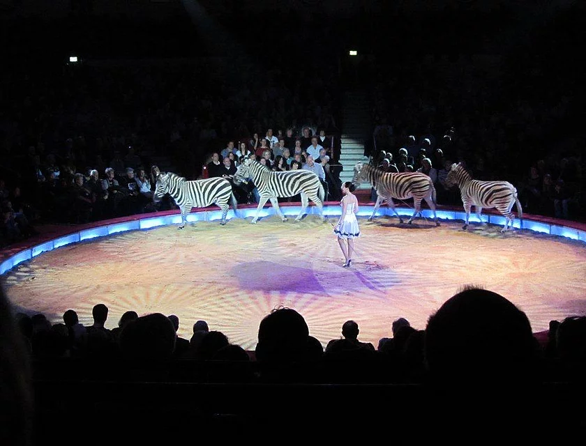 FCB Zirkus Krone — Foto