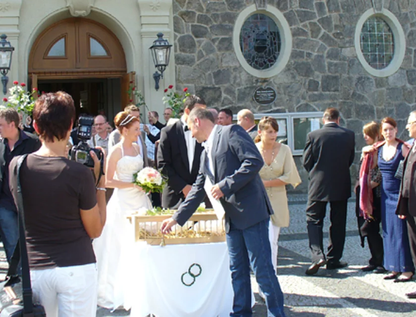 Hochzeit Voelkl — Foto